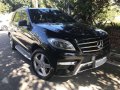 2013 Mercedes Benz ML 350 for sale-1