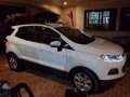 2014 Ford Ecosport for sale-2