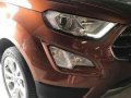 2019 NEW Ford Ecosport for sale-4