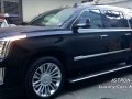 2019 Brandnew Platinum Escalade ESV Long Wheel Full Options-3