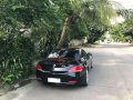 BMW Z4 3.0 Top Down 2010-1