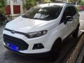 2017 Ford Ecosport for sale-2