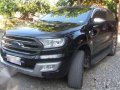 2017 Ford Everest for sale-5