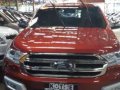 2016 Ford Everest for sale-0