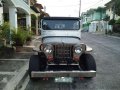 Mitsubishi Jeep Full Stainless for sale-10