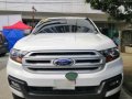 2016 Ford Everest for sale-0