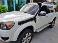 Ford Everest 2010 for sale-2