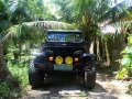 Jeep WRANGLER 2016 YJ For Sale -2