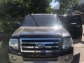 Ford Expedition All stock 2008 model-8