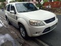 Ford Escape xlt 2010 for sale-3