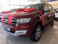 2019 Zero cashout Ford Everest free 2yrs service or free accesories-0