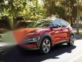 Hyundai Kona 38k DP-3