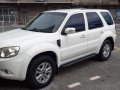 Ford Escape xlt 2010 for sale-0