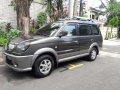 Mitsubishi Adventure GLS Sport 2008 for sale-7