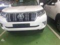 Toyota Land Cruiser 2019 brand new-0