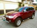 2010 Mitsubishi Montero for sale-7