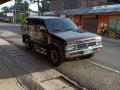 Like New Nissan Terrano for sale-0