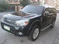 2013 Ford Everest Limited (4X2) AT FOR SALE-12