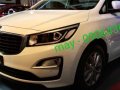 2019 Kia Grande Carnival 7 seater diesel-2