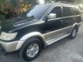 Isuzu Crosswind XUV 2007 for sale-9