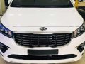 2019 Brand New Kia Carnival Platinum G6 not santa fe palisade-5