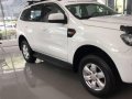 2019 FORD EVEREST LOW Downpayment-0