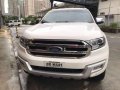 2017 Ford Everest for sale-0