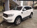 2017 Ford Everest for sale-5