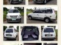 Mitsubishi Adventure 2010 For Sale-0