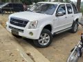 Isuzu Dmax 2010 4x2 ls manual for sale-3