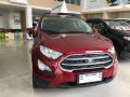 2019 Ford Ecosport for sale-0