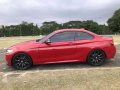 2017 BMW 220i Msports 100yrs Ltd Edition-9