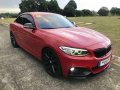 2017 BMW 220i Msports 100yrs Ltd Edition-6
