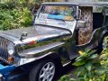 For sale 94mdl TOYOTA Owner type jeep-5
