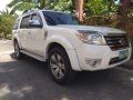 Ford Everest 2010 Automatic for sale-8