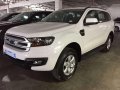 Ford Everest Ambiente Manual MT 2019-1