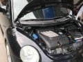 Volkswagen Beetle 2001 For Sale -8