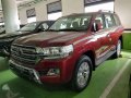 TOYOTA Hilux conquest 2019 brand new with unit on hand -11