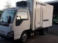 2005 Isuzu Elf for sale-0