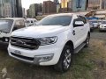 2017 Ford Everest for sale-5