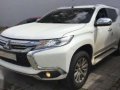 2017 Mitsubishi Montero Sport for sale-2