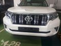 Toyota Land Cruiser Prado 4.0L Gas Automatic Brand new 2019 -0