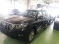 Toyota Land Cruiser Prado 4.0L Gas Automatic Brand new 2019 -3
