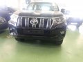 Toyota Land Cruiser Prado 4.0L Gas Automatic Brand new 2019 -7