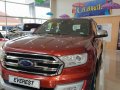 2018 Ford Everest for sale-0