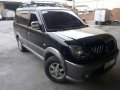 Mitsubishi Adventure 2009 for sale-7