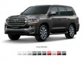 Brand New 2019 Toyota Land Cruiser Automatic Diesel for sale -0