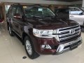 Brand New 2019 Toyota Land Cruiser Automatic Diesel for sale -2