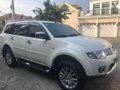 Mitsubishi Montero Sports SE 2010 for sale-1