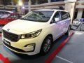 Kia Grand Carnival 2019 for sale-1